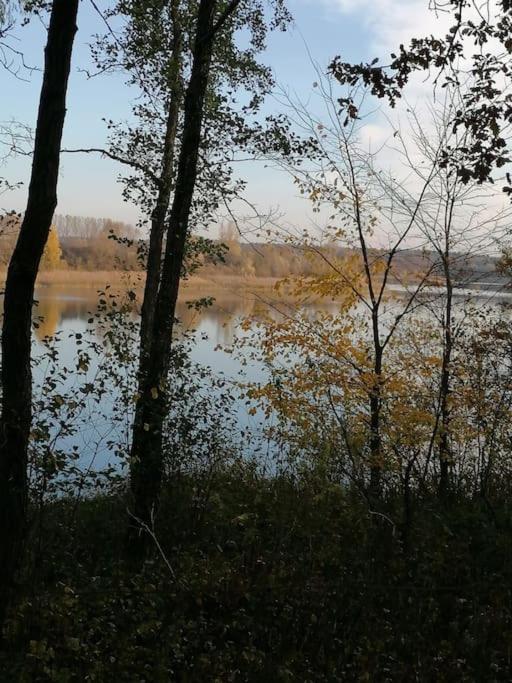 Swietna Chatka Swietne Kültér fotó