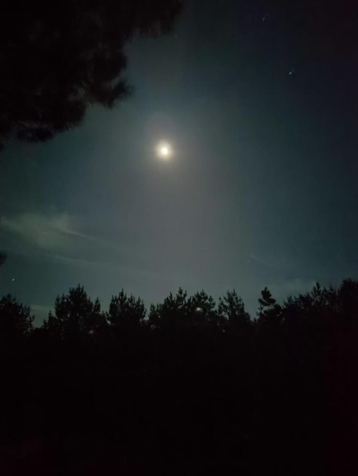 Swietna Chatka Swietne Kültér fotó
