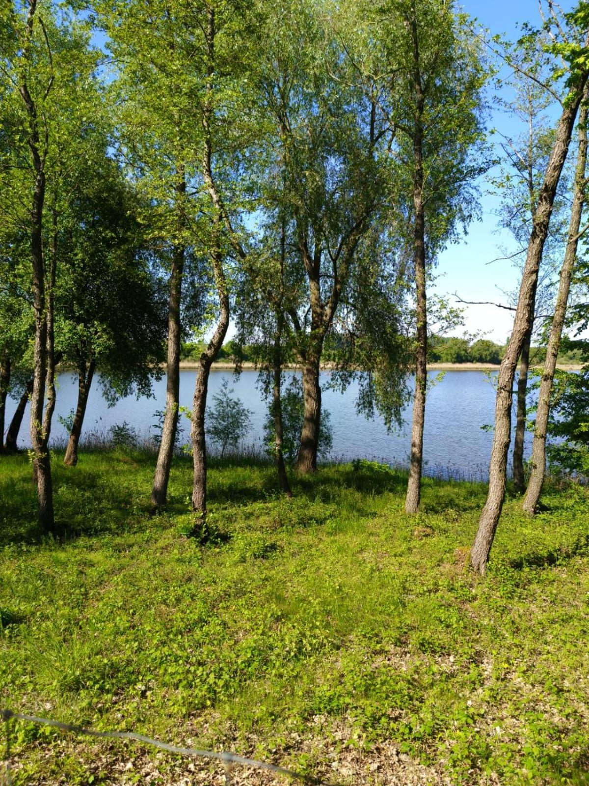 Swietna Chatka Swietne Kültér fotó